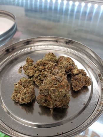 Girl Scout Cookies