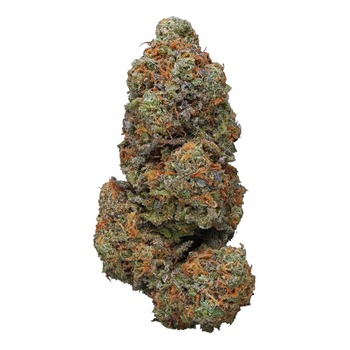 Granddaddy Purple 