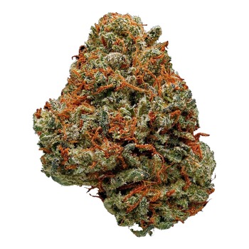 Master Kush